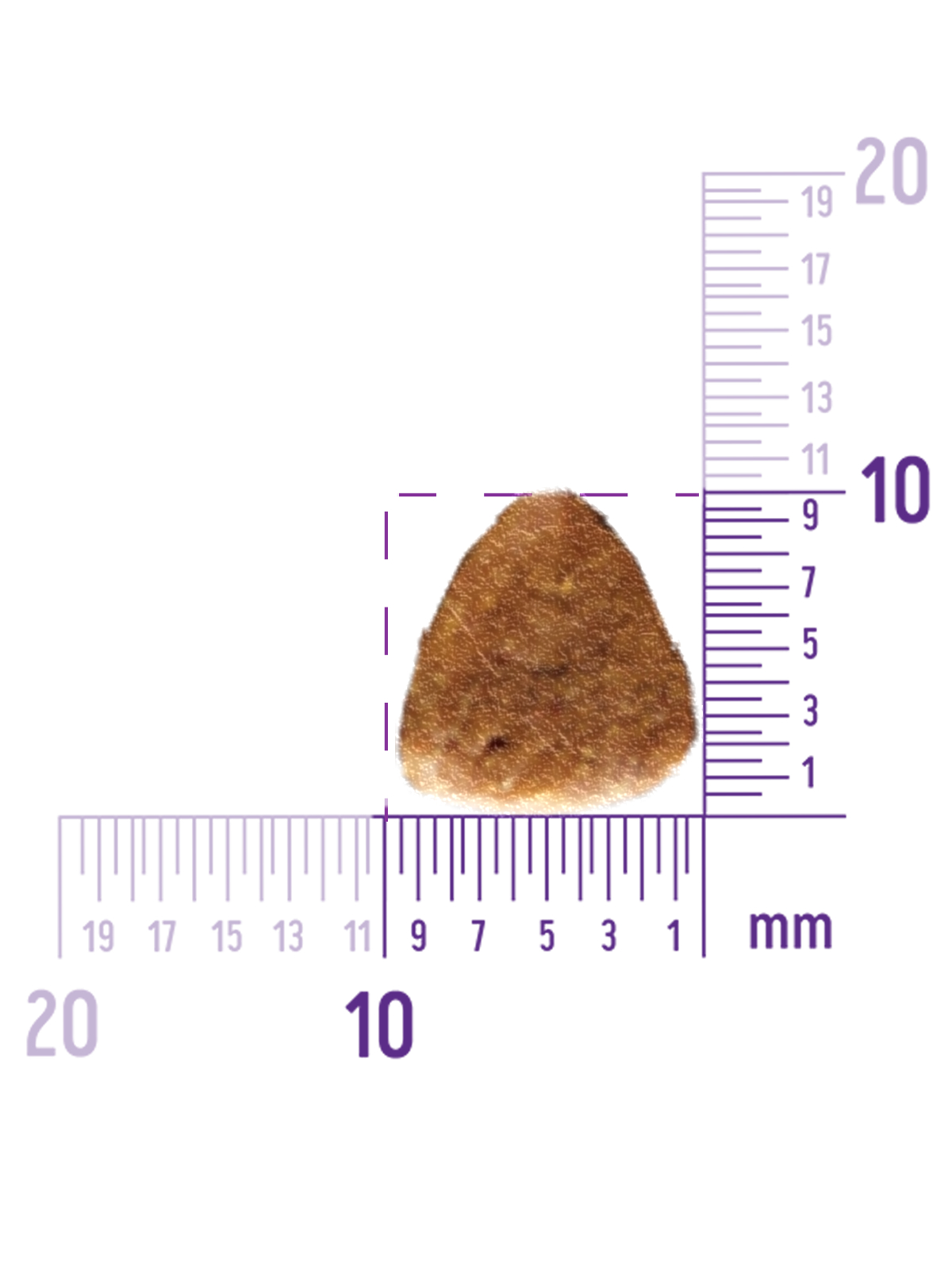 59907 Корм из лосося с тунцом для взрослых собак средних и крупных пород 10 кг