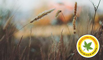 Пылесос с аквафильтром POLTI FORZASPIRA LECOLOGICO ALLERGY