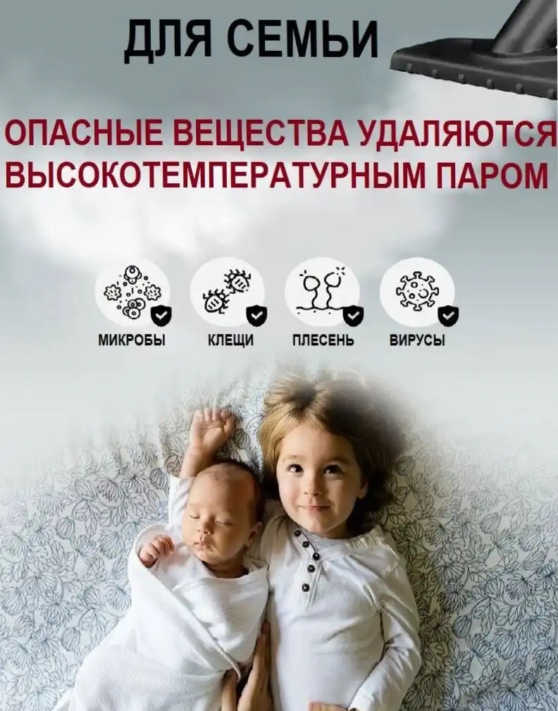 Пароочиститель minihome TSC-300