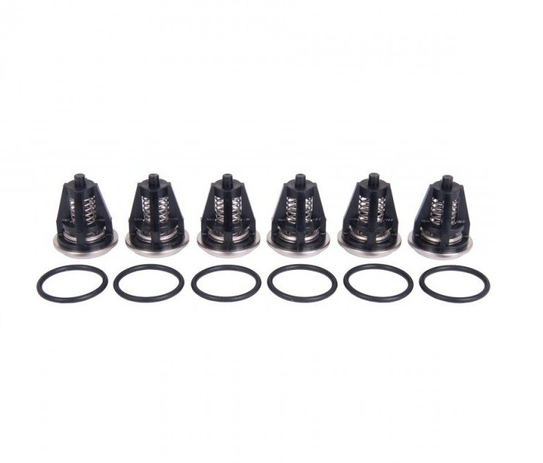 Рем.комплект клапанов KIT 62 для помп (T44, T55, WS153)