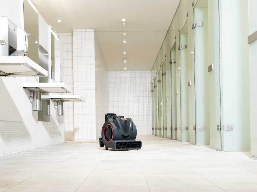 Сушилка для ковров Viper BV3