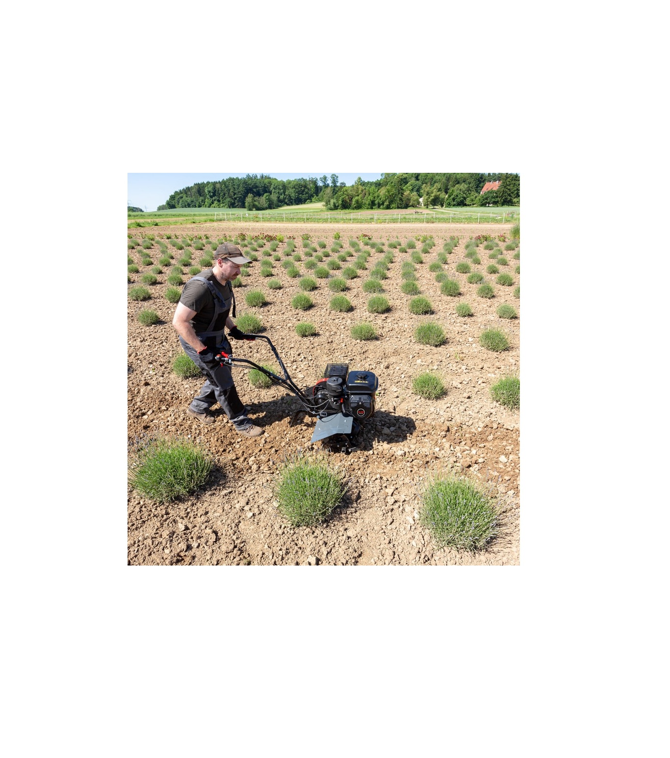 Бензиновый мотокультиватор AL-KO Comfort MH 540