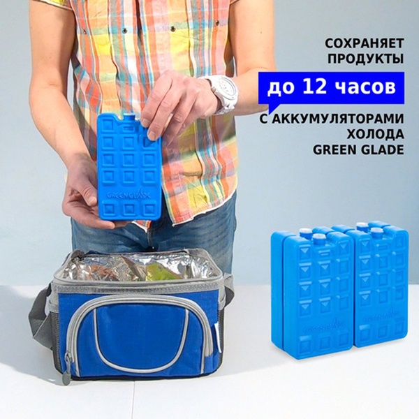 Сумка-изотермическая 6 л Р2106 (12)