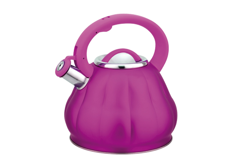 Чайник металлический BEKKER 3 л цветной