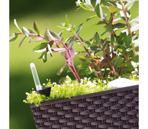 Кашпо с автополивом Prosperplast Rato Case High 30л, венге