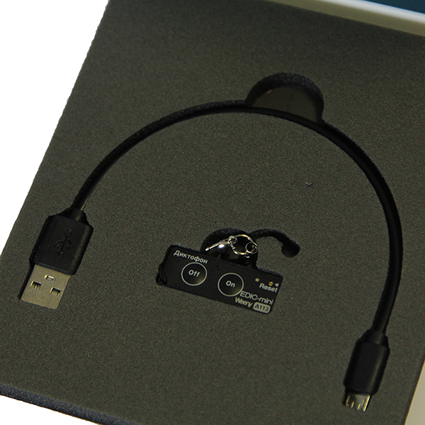 Диктофон EDIC-mini Weeny A113