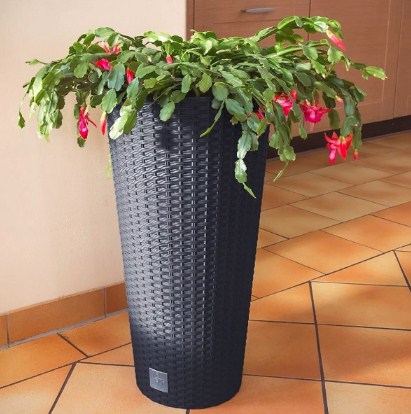 Кашпо для цветов Prosperplast Rato Low 64+35л, антрацит