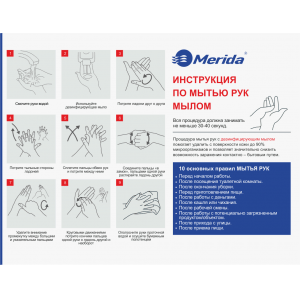 Плакат "ИНСТРУКЦИЯ ПО МЫТЬЮ РУК МЫЛОМ" ZH118