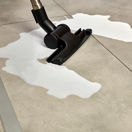 Пылесос с аквафильтром POLTI FORZASPIRA LECOLOGICO ALLERGY