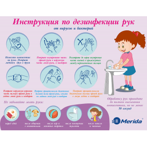 Плакат "Инструкция по дезинфекции рук" для школ ZH121