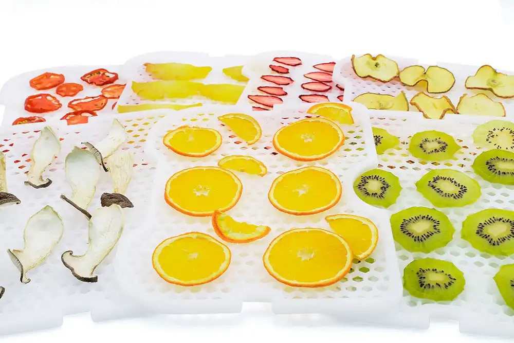 Дегидратор для овощей и фруктов Gochu D-310