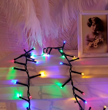 CM370 Электрическая гирлянда Winter Glade Мультиколор