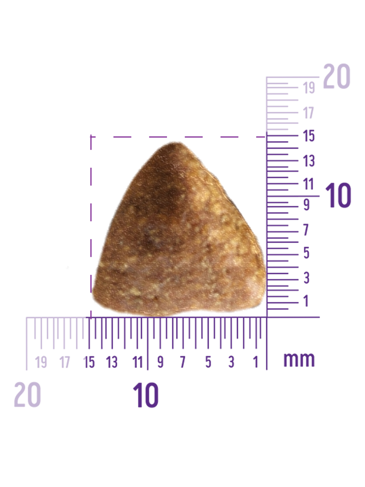 59907 Корм из курицы для взрослых собак крупных пород 10 кг