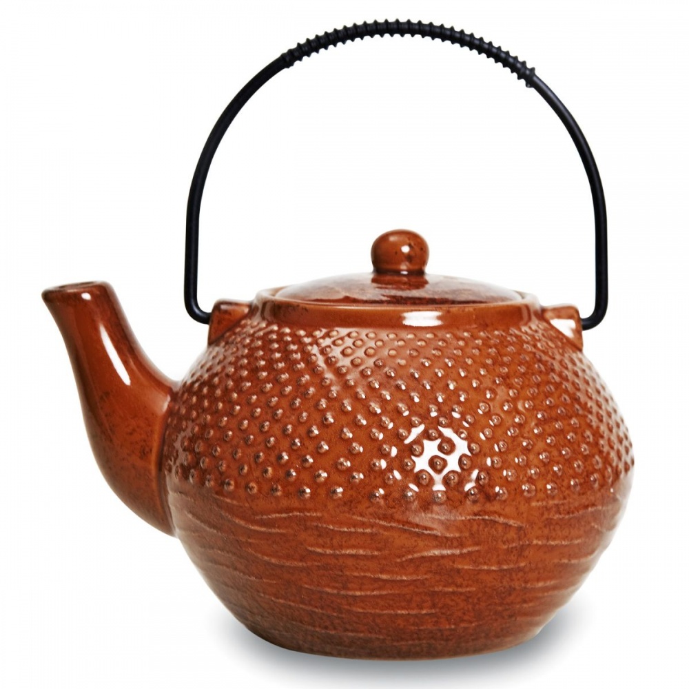 Чайник Kyoto B11813B/PT555