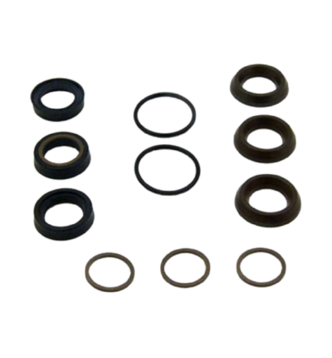 Комплект уплотнений Annovi Reverberi 42469