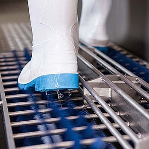 Машинка для чистки обуви Heute Neptun HCS1