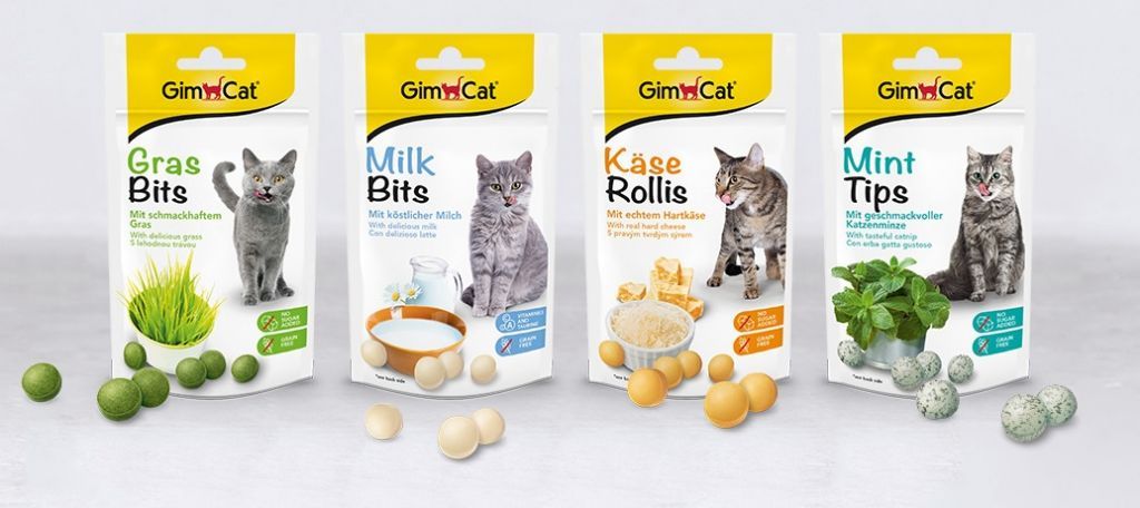 gimcat3.jpg gimcat3.jpg