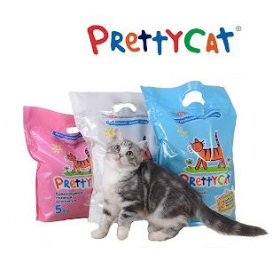 prettycat1.jpg prettycat1.jpg