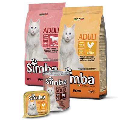 simba2.jpg simba2.jpg