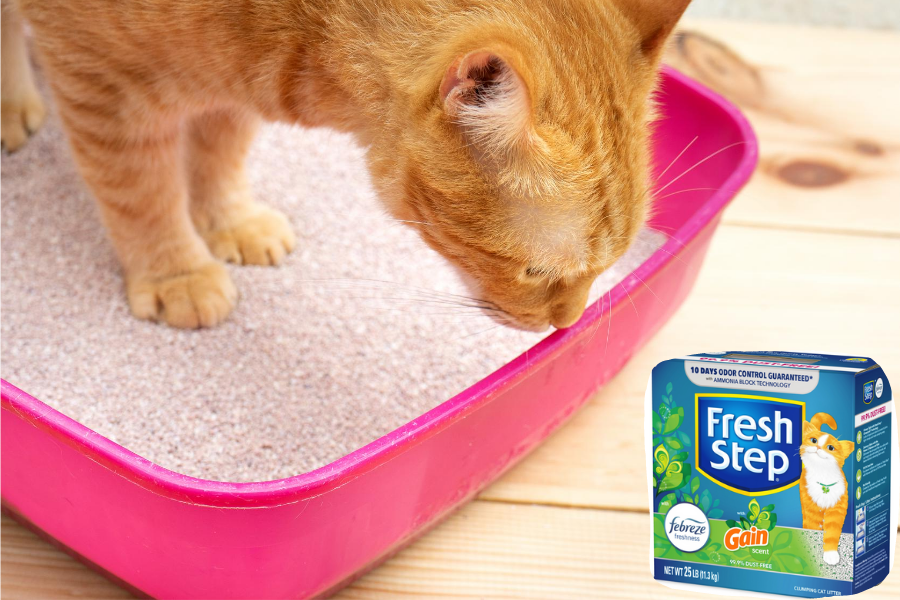 fresh-step3.png fresh-step3.png
