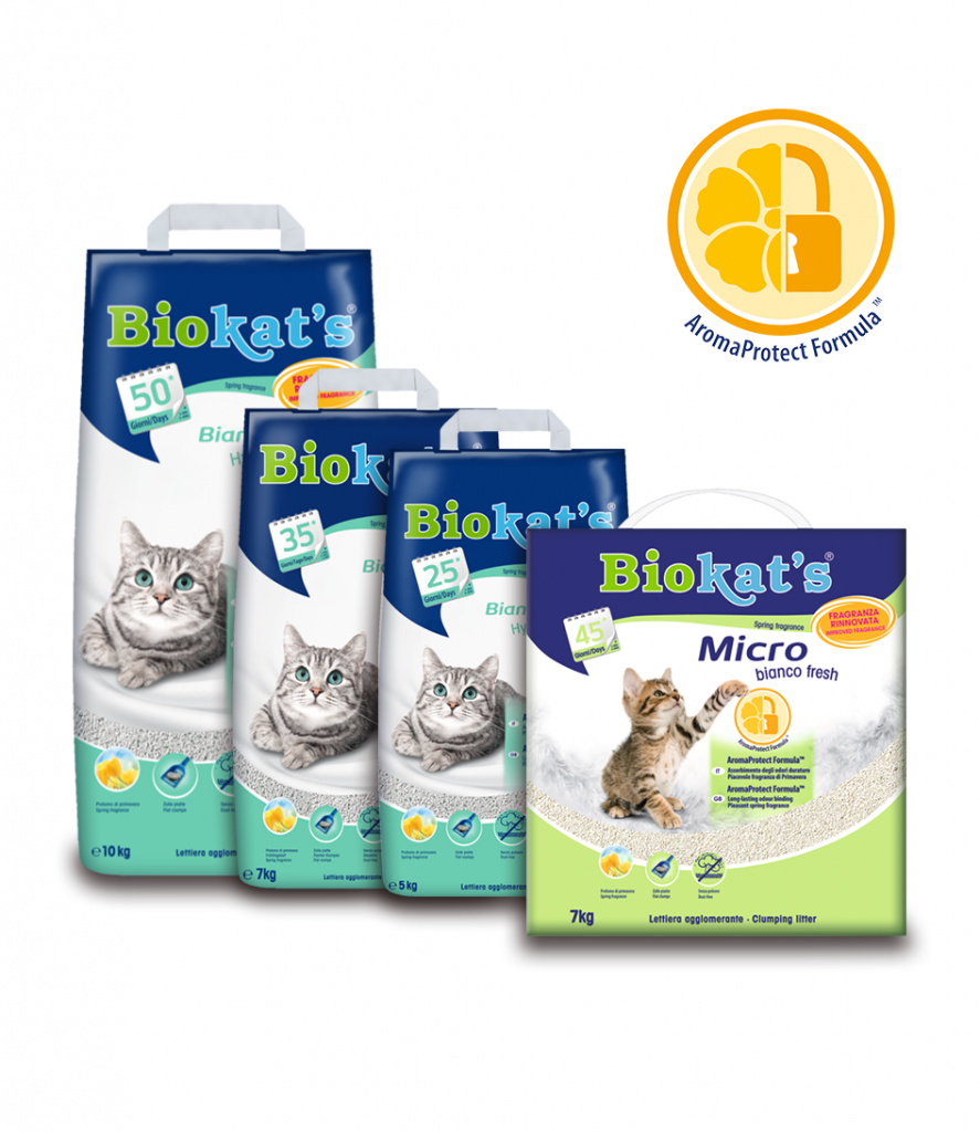 Biokat`s4.png Biokat`s4.png