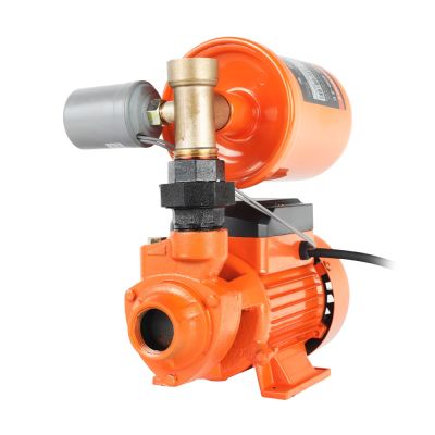 Насосная станция PATRIOT PW 400-2 С, 410 Вт.