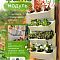 Фитомодуль с системой прикорневого полива 2л х3 (настенное кашпо) (59х25х27 см) (слоновая кость), комплет 9 шт