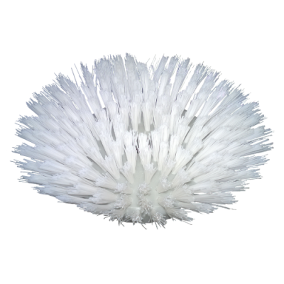 Щетка дисковая жесткая для SCRUBBY