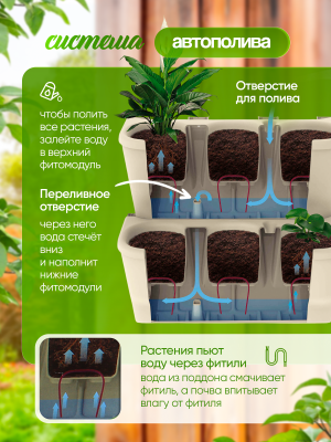 Фитомодуль с системой прикорневого полива 2л х3 (настенное кашпо) (59х25х27 см) (слоновая кость), комплет 9 шт