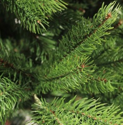 Елка искусственная Royal Christmas Georgia Premium PVC/PE 210см