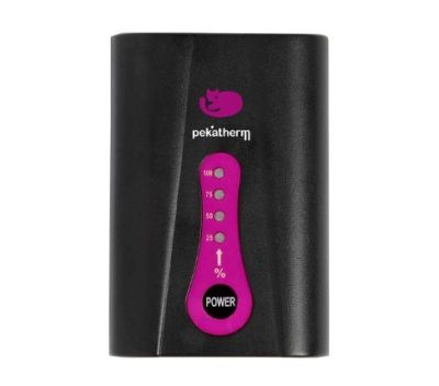 Комплект литиевых аккумуляторов и зарядного устройства CP951