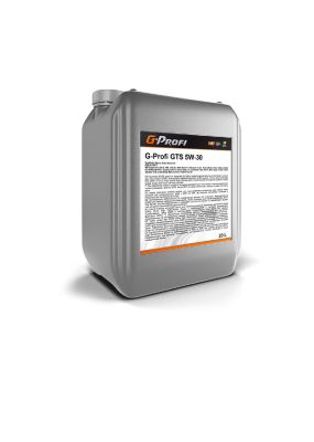 Моторное масло G-Profi GT 5W-30 20л