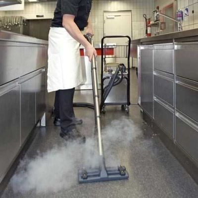 Парогенератор Cleanfix DS 8