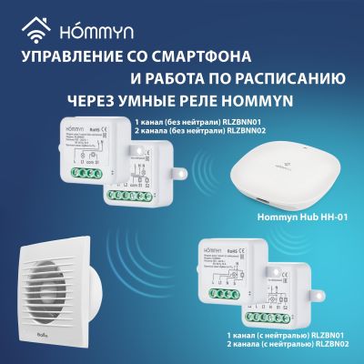 Вентилятор вытяжной Ballu BAF-FW 100 N с антимоскитной сеткой