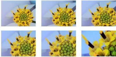 Цифровой микроскоп DigiMicro Mini