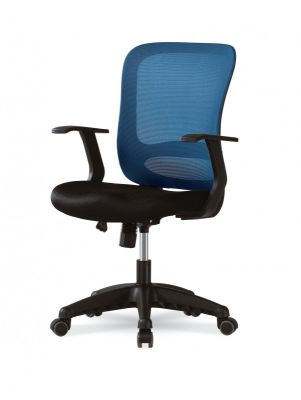 Стул ортопедический черно-синий DSP 1804J