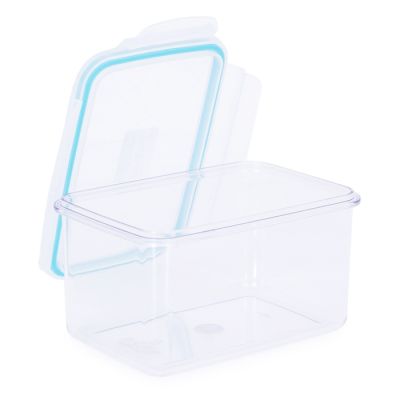 Тритановый контейнер с замками TR-06RT 900 мл