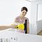 Аккумуляторный Стеклоочиститель Karcher WV 1
