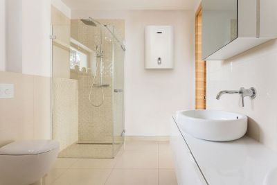 Водонагреватель Zanussi ZWH/S 30 Splendore Dry НС-1182054