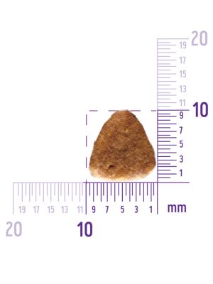 59907 Корм из лосося с тунцом для взрослых собак средних и крупных пород 10 кг