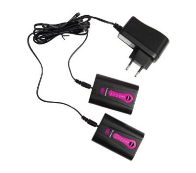 Комплект литиевых аккумуляторов и зарядного устройства CP951