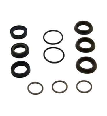 Комплект уплотнений Annovi Reverberi 42476