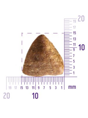 59907 Корм из курицы для взрослых собак крупных пород 10 кг