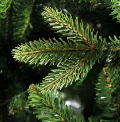 Елка искусственная Royal Christmas Arkansas Premium PVC/PE 210см