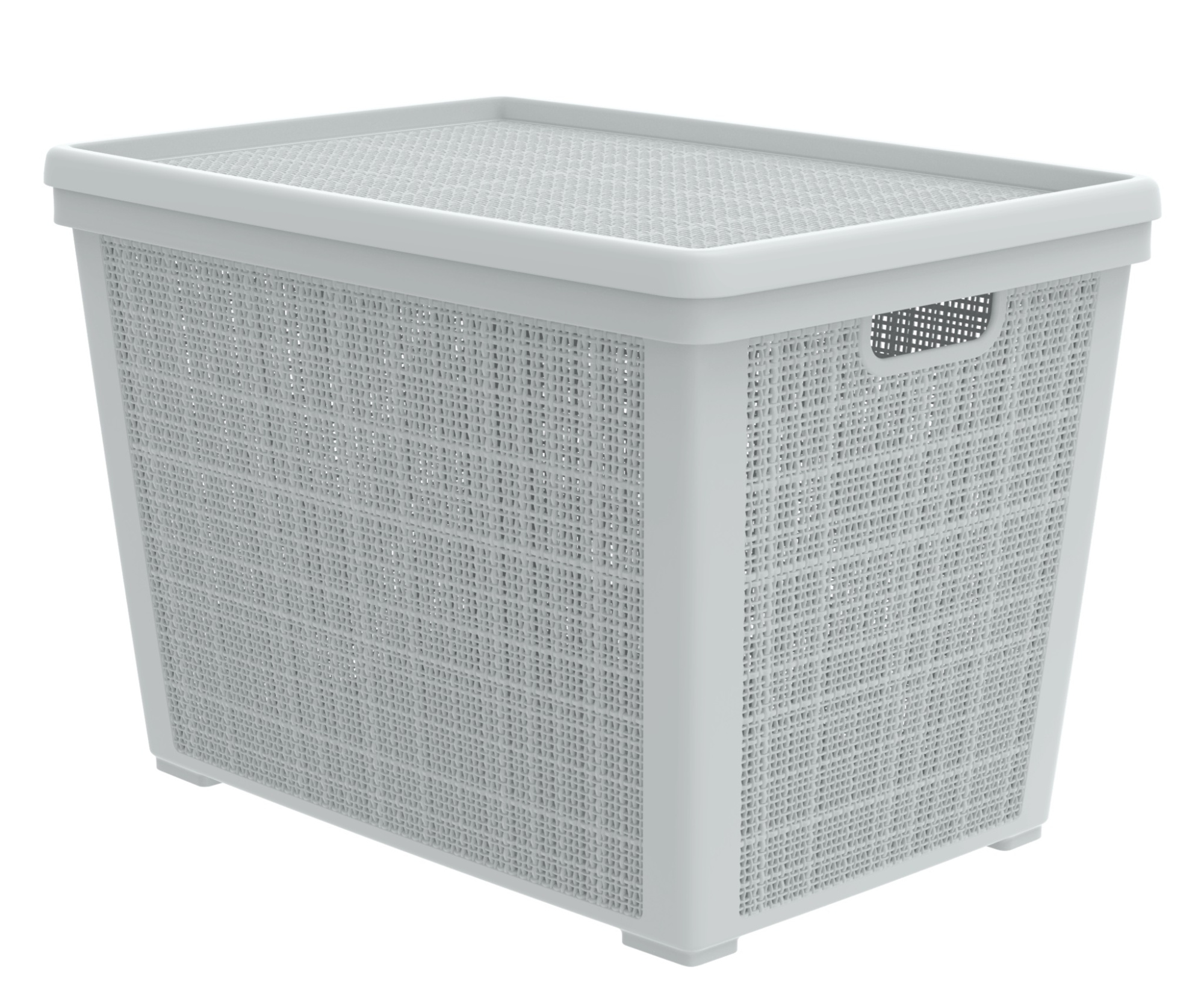 Плетёная корзина для хранения с крышкой «Лён» 65 л (568х400х391 мм) серый