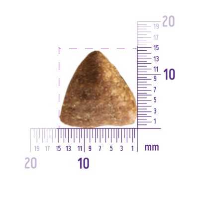 59907 Корм из курицы для взрослых собак крупных пород 10 кг