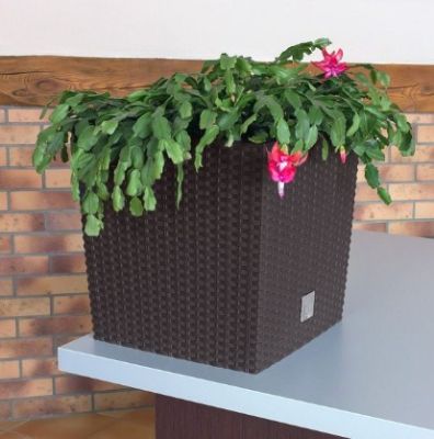 Кашпо для цветов Prosperplast Rato Low 15,8+11л, венге