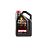 Моторное масло MOTUL 8100 ECO-nergy 0W-30 (4 л.)