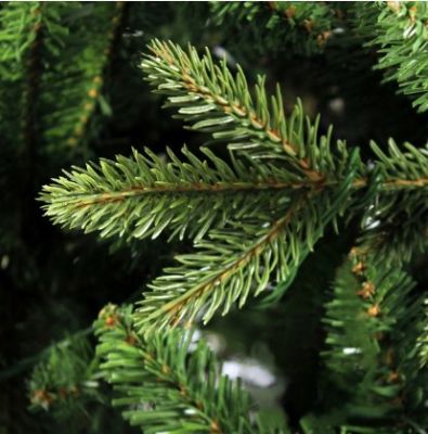 Елка искусственная Royal Christmas Arkansas Premium PVC/PE 240см