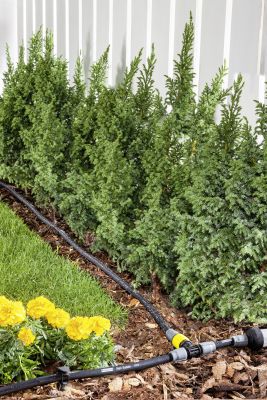 Тройник с регулятором Karcher